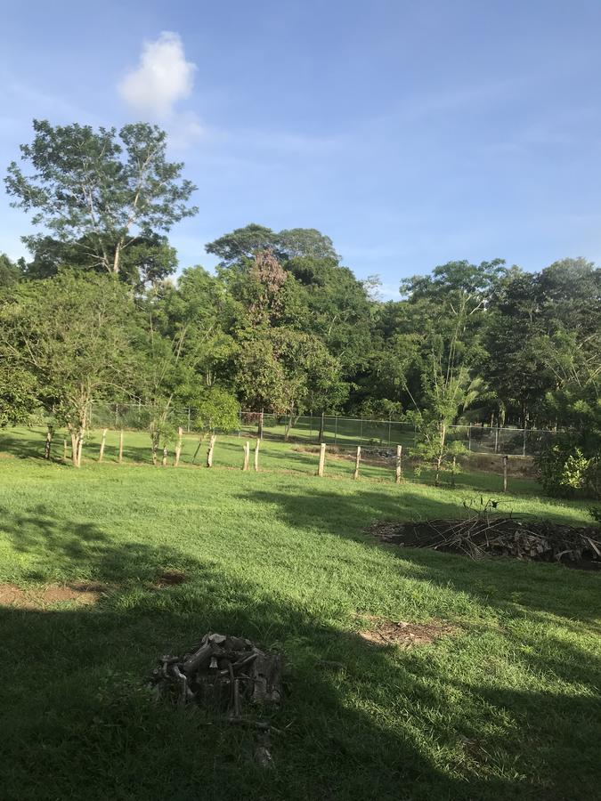 Villa Segura Manuel Antonio, קפוס מראה חיצוני תמונה